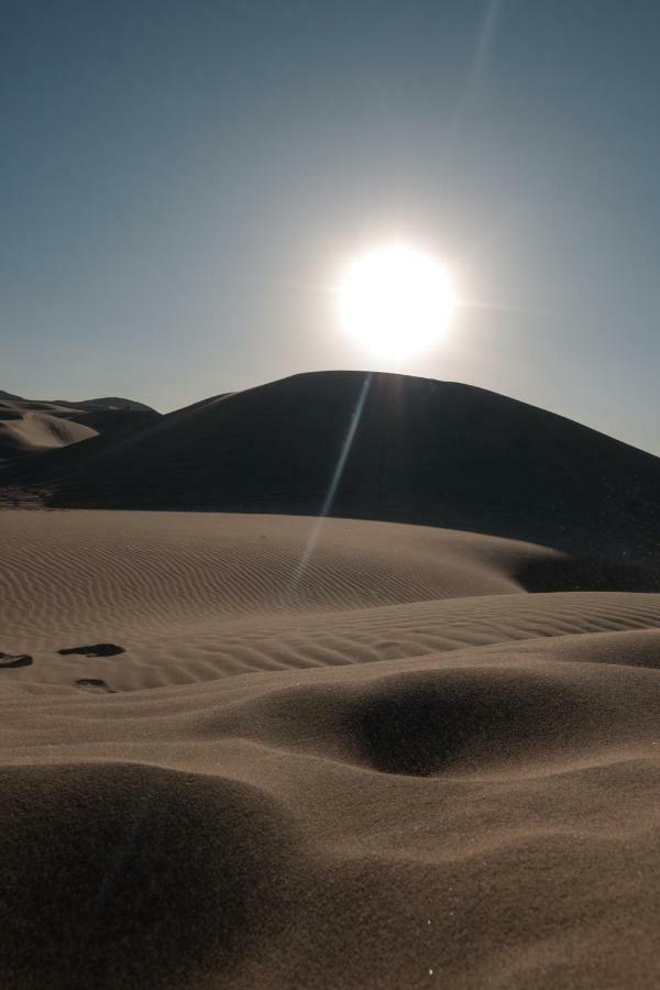 Wild South Peru Hotel Ica Bagian luar foto